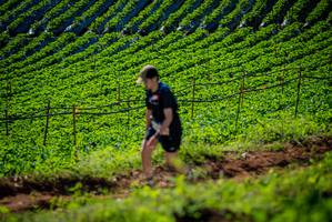 BIB: 
                            <button type="button" onclick="openModal(19161208)" class="btn btn-primary btn-sm float-right btn-popup" data-toggle="modal" data-target=".modal-high-quality">
                        <i class="fas fa-shopping-cart"></i> Add to Cart
                    </button>
                                            <button type="button" onclick="isThisMe(19161208, true)" class="btn btn-success btn-sm float-right btn-popup btn-isme hidden" data-toggle="tooltip" data-placement="bottom" title="นี่คือรูปของคุณใช่ไหม คลิกที่นี่เพื่อเอาเข้าอัลบั้ม">
                        <i class="fas fa-plus"></i> Add to album
                    </button>
                    <button type="button" onclick="isThisMe(19161208, false)" class="btn btn-warning btn-sm float-right btn-popup btn-isnotme hidden">
                        <i class="fas fa-ban"></i> Remove from album
                    </button>